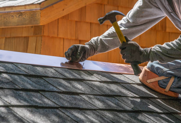 Best Asphalt Shingle Roofing  in Dland, MI