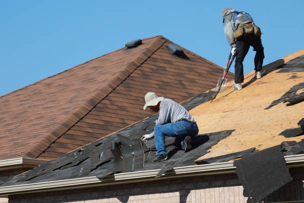 Best Slate Roofing  in Dland, MI