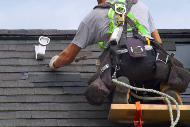 Best Solar Panel Roofing Installation  in Dland, MI