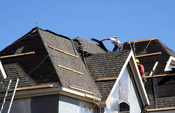 Best Emergency Roof Repair Services  in Dland, MI