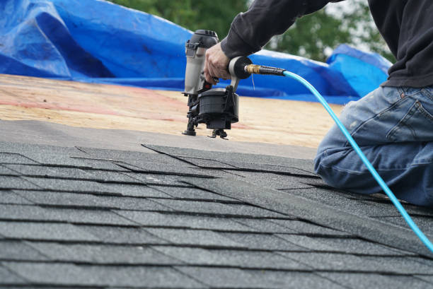 Best Flat Roofing  in Dland, MI