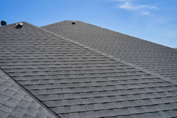 Best Rubber Roofing (EPDM, TPO)  in Dland, MI