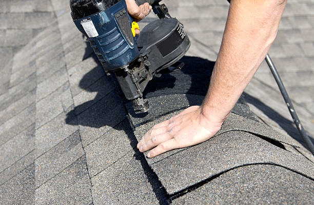 Best Roof Maintenance  in Dland, MI