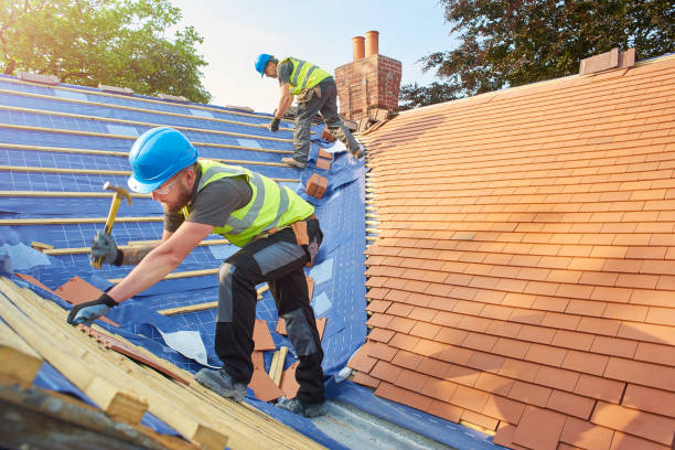 Best Metal Roofing Installation  in Dland, MI