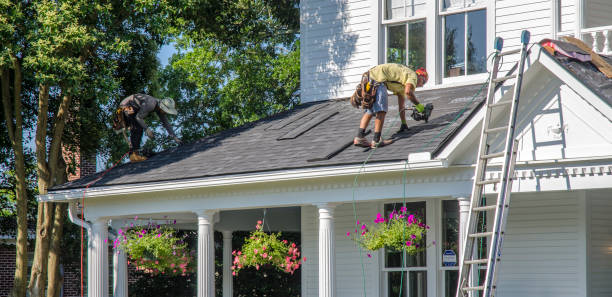 Best Commercial Roofing Services  in Dland, MI